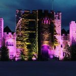 Hever Castle, Kent. Photo shot at night, the castle is lit purple with ivy growing up the front